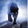 Фото профиля Afande Simba