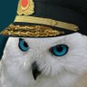 Profilbild von BayQuş