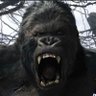Gédéon Ludonadieu's profile picture