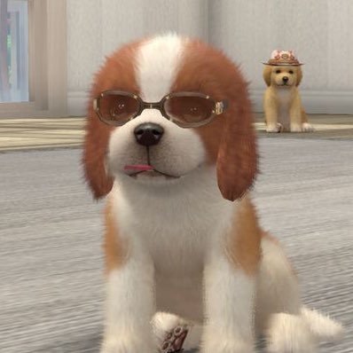 doldol 。。's profile picture