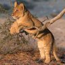 soul odhiambo profil fotoğrafı