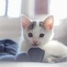 Andreu. profil fotoğrafı