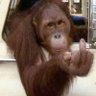 Anthony Stinnett's profile picture