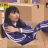 竹刀くん🏯🦀's profile picture