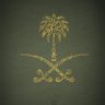 muhannad almalki 的头像