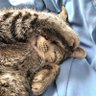 Edna B. profil fotoğrafı