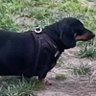 Profilbild von Omar
