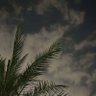 رِ's profile picture