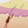 Фото профиля badfollicles