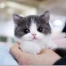 منيرة profil fotoğrafı