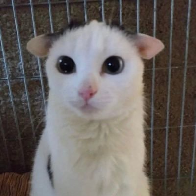 nat's profile picture