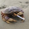 Mattdashark18's profile picture