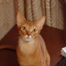 Profilbild von michiko