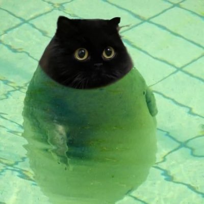 cdhw0110's profile picture