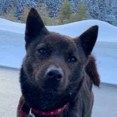 tarosakuro1227's profile picture