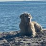 Sunpower222's profile picture