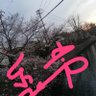 颚æ¥åã¿ã« ç倎å