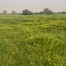 Фото профиля الفهد الدوسري