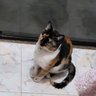 Coeio profil fotoğrafı