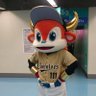 Profilbild von (ナッチー)、(なっきー)、