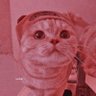 โ.ห แกฃ๐ญฉ .ห ๐ก๐ฎ๐ญ๐ด๐ฒ๐ฝ๐ฝ๐ฎ๐ท หห๐ขึดเปโ's profile picture