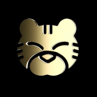 toygersofficial's profile picture