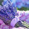 💜CYD💜 profil fotoğrafı