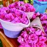 Profilbild von سبحان الله وبحمده سبحان الله العظيم