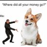 corgi lover 的头像