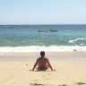 Maurizio Gallegos's profile picture