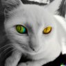 LeXEnemy profil fotoğrafı