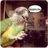 Ross Cline's profile picture