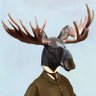 Intelligent Moose 的头像
