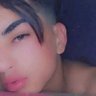 amir_lms 的头像