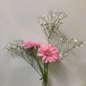 Фото профиля たんぽぽ