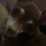 Profilbild von Kirsten Mayville