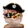 メイヤー's profile picture