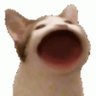 Lucas Spy's profile picture