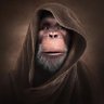 Profilbild von 阿龍