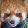 Isabelle's profile picture