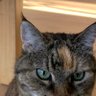 Cosmo profil fotoğrafı