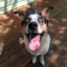 Фото профиля Duke