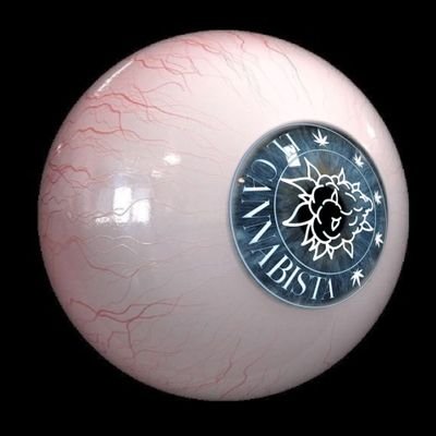E̳̳l̳̳ C̳̳a̳̳n̳̳n̳̳a̳̳b̳̳i̳̳s̳̳t̳̳a̳̳ 👁️🗨️'s profile picture