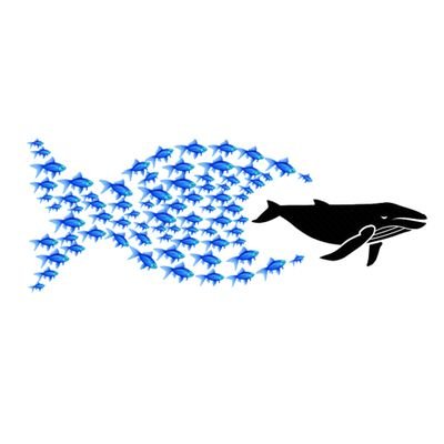 Balina Avcısı's profile picture
