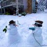又双叒叕丢一个号儿 的头像