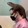 Jared Dyck profil fotoğrafı