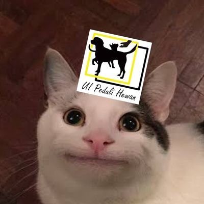 UI Peduli Hewan's profile picture