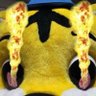 Profilbild von 🐯なかぴー NAKA-P🔥