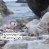 Фото профиля اللهم صل وسلم على نبينا محمد