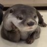 Darq's profile picture